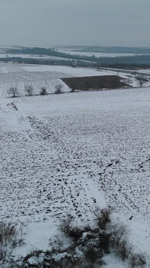 Snow-covered agricultural landscape with rolling hills, barren trees, and Stock Footage 339300053