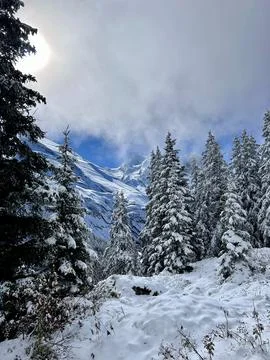 Snow Covered Alpine Forest with Mountain View at Sunnbüel, Switzerland Foto stock