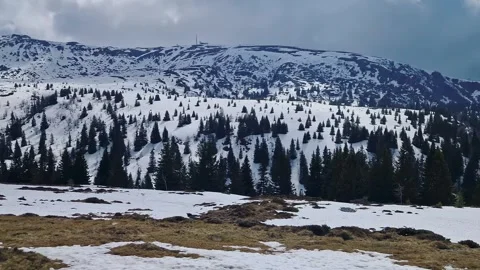 Snow-Covered Alpine Landscape with Pine Trees and Distant Peak 動画素材 321654798