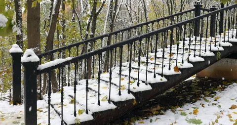 Snow-covered and snowfall road covered in autumn leaves through an autumn park Vidéo 254411010