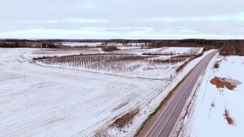 Snow Covered Apple Orchard Beside Rural Road in Latvia Winter Scene Stock Footage 344096322