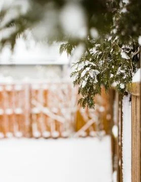 Snow covered back yard Stock Photos