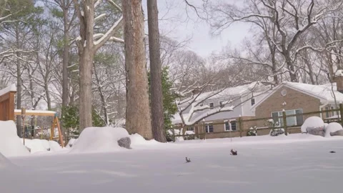 Snow Covered Backlyard Stock Footage 302586053