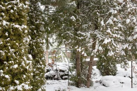 Snow covered backyard. Stock Photos