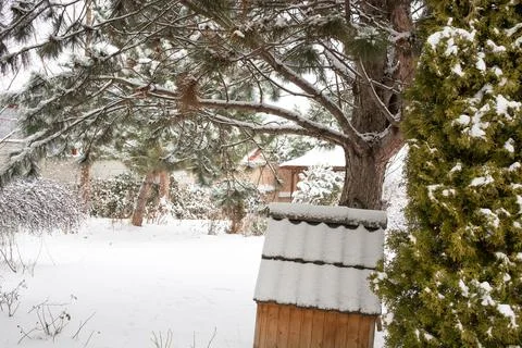 Snow covered backyard. Stock Photos
