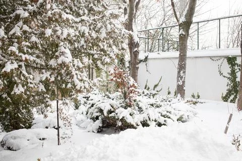 Snow covered backyard. Stock Photos