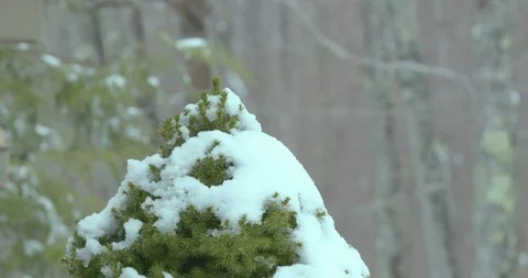 Snow-Covered Backyard Tree, Picnic Table and Outdoor Grill 動画素材 88228797