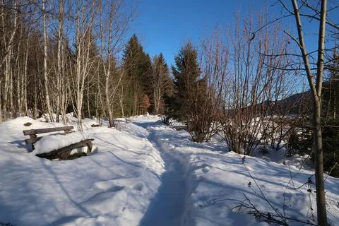 Snow covered bench next to the walking path through the forest in winter lans Stock-Fotos