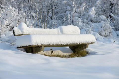 Snow Covered Bench Stock Photos