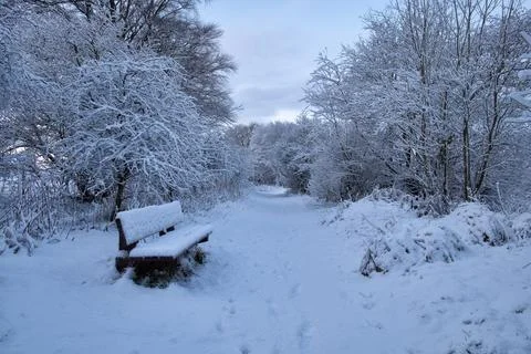 Snow Covered Bench on Winter Forest Path Stock Photos