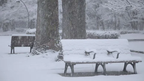 Snow-Covered Bench_02 Stock Footage 332830118