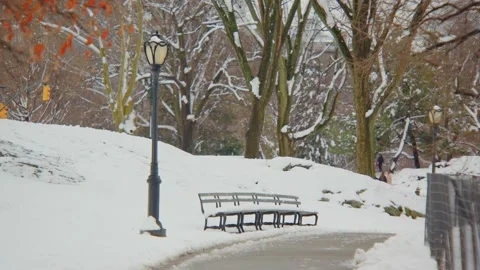 Snow-covered benches and trees lining a serene path in Central Park during a pea Stock Footage 309307745