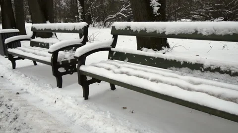 Snow-covered benches Stock Footage 221642845