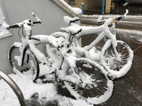 Snow covered bicycles Stock Photos