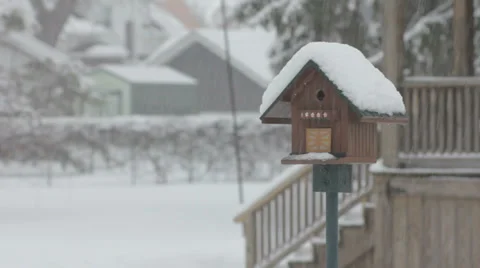 Snow Covered Birdhouse 스톡 동영상 34586306