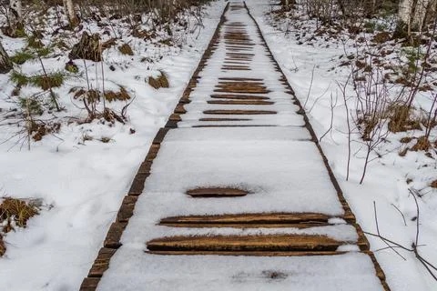 Snow Covered Boardwalk Path Through Wetlands Area Stock Photos