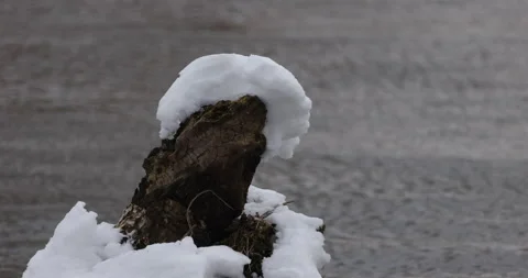 Snow-covered bough in the river, 4K slomo Stock Footage 163965975