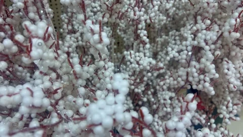 Snow-covered branch adorned with silver-toned berries Stock Footage 289966119
