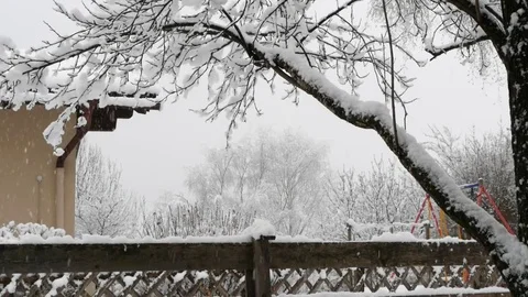 Snow covered branches and trees. 库存影片 85429780