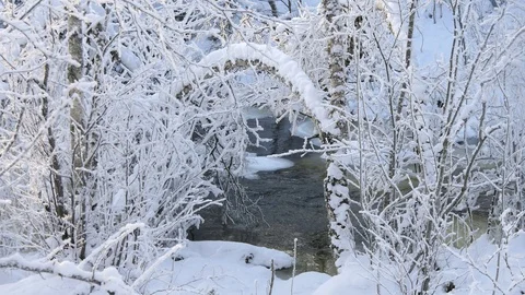 Snow-covered branches and trees on the background of a small stream. Video stock 119391159