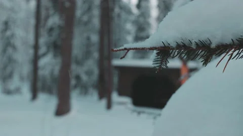 Snow Covered Branches Stock Footage 200831018