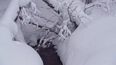 Snow-covered branches frame a tranquil stream flowing through a winter landscape Stock Footage 289478539