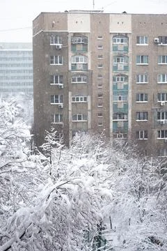 Snow-covered branches outside window, blurred building in background. Stock Photos