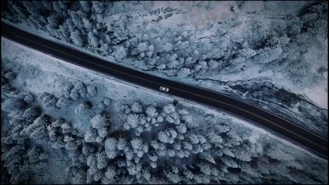 Snow covered branches of trees Stock Footage 269808101