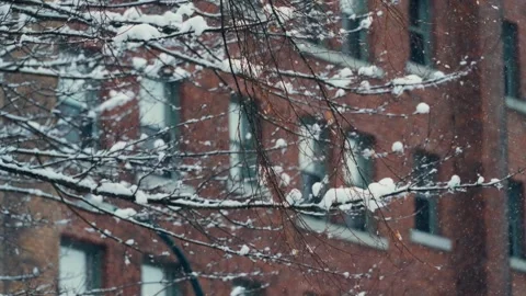 Snow-covered brick building surrounded by trees and slow motion snowfall Stock Footage 293729022