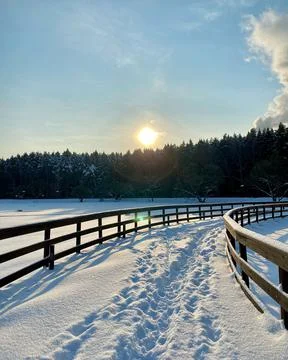 Snow-covered bridge in the forest in the rays of the bright winter sun Stock Photos