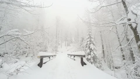 A snow-covered bridge in a forest in winter Stock Footage 158040772