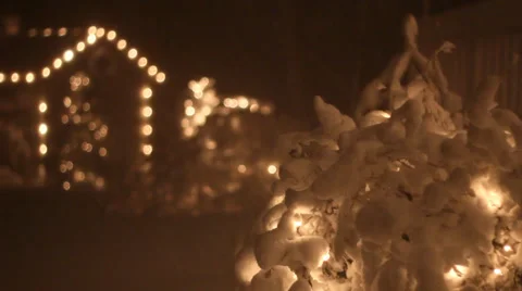 Snow Covered Bush 動画素材 37112772
