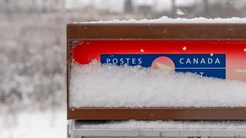 Snow-covered Canada Post mailbox with bright red and blue colors, surrounded by Foto stock