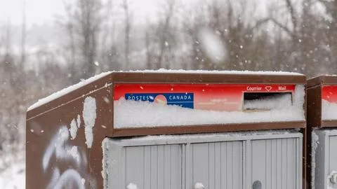 Snow-covered Canada Post mailbox in winter landscape with trees and snowfall Stock Photos