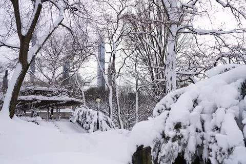 Snow covered Central Park path with bare winter trees Foto stock