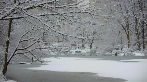 Snow-Covered Central Park in Winter, Featuring Trees, Benches and Icy Paths Duri Stock Footage 309303205