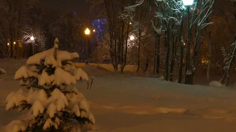 Snow-covered Christmas tree on the background of the night park alley. Stock Footage 155029440