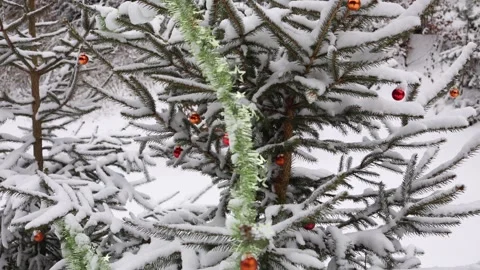 A snow-covered Christmas tree decorated with colorful ornaments and tinsel stand Stock Footage 298264096
