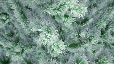 Snow covered Christmas tree with falling snowflakes Stock Footage 44751185