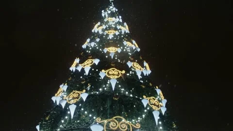 Snow covered christmas tree Stock Footage 223760577