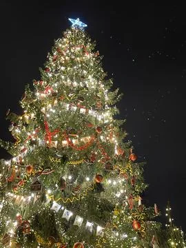 Snow Covered Christmas Tree with Multi Colored Lights at Night Stock Photos