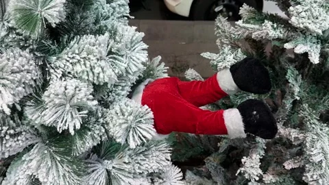 Snow covered Christmas tree in Tehran Oslo Iran Norway winter urban evening Stock Footage 338191042