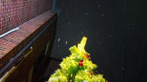 Snow covered Christmas tree view from bottom to top. Snowy winter streets Stock Footage 339251397