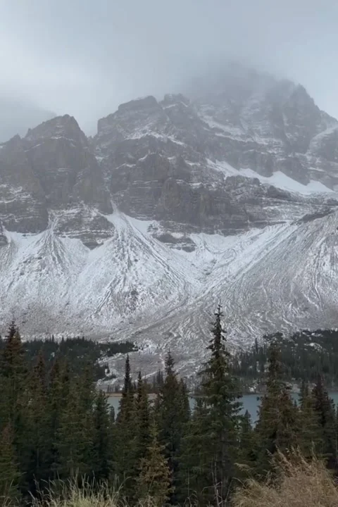 Snow-Covered Cliffs Loom Over Pine Forest Stock Footage 320462031