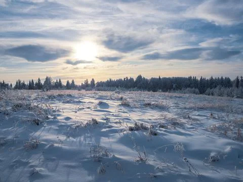 Snow-covered conifer forest on a high hill in frosty winter day. Frozen grass Stock Photos