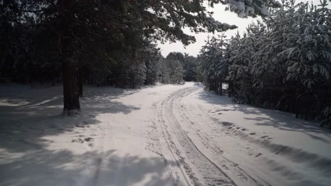 Snow-covered coniferous forest on a winter day with sunbeams. 4k Stock Footage 234035816