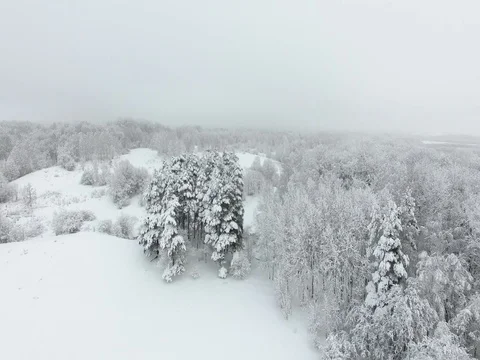 Snow-covered countryside in winter Stock Footage 84893840