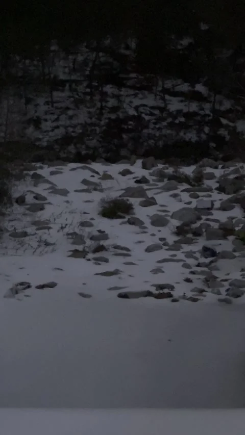 Snow Covered Creek Bed in Winter Woods Stock Footage 344601237