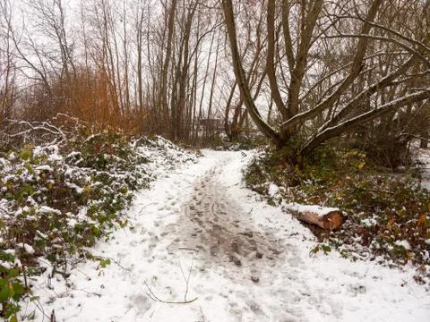 Snow covered dirty forest path floor walkway outside texture Stock Photos