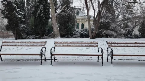 Snow-Covered Empty Park Benches  in a City Garden with Frosty Trees. Stock Footage 341226271